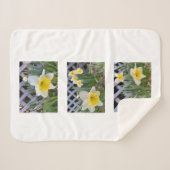 Yellow Daffodils Sherpa Blanket Deken (Voorkant (horizontaal))