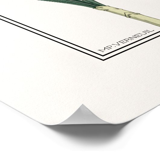 Yellow Daffodils Verneuil Illustration Poster (Hoek)