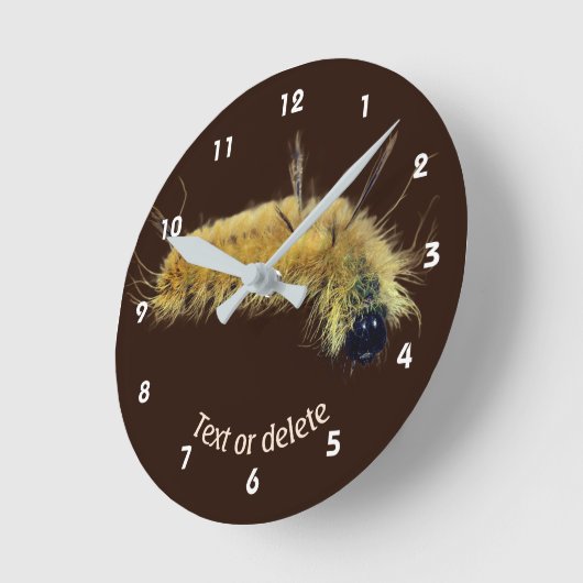 Yellow Dagger Moth Caterpillar Personalized Ronde Klok (Hoek)
