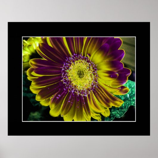 Yellow Dahlia Abstracte kunst Poster (Voorkant)
