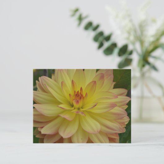Yellow Dahlia Briefkaart (Staand voorkant)