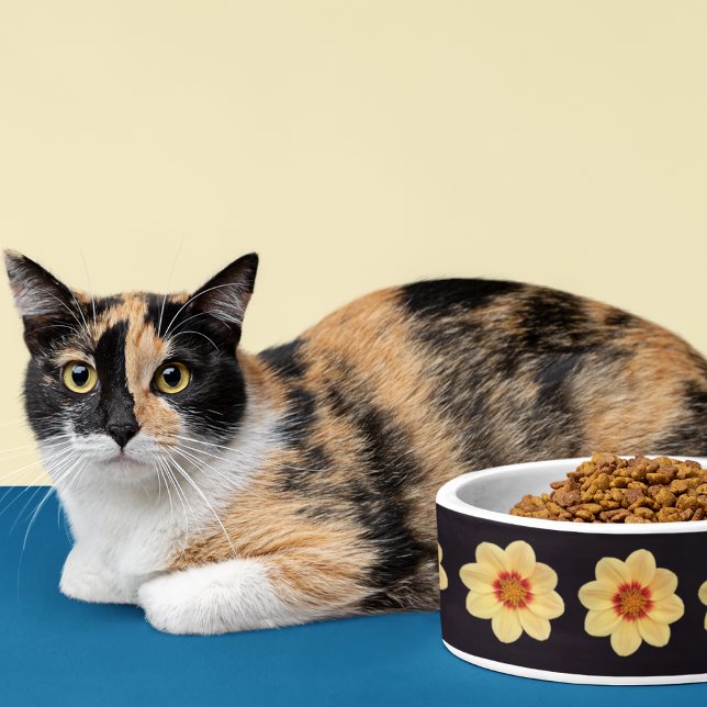 Yellow Dahlia Floral Pattern op Black Voerbakje (Creator heeft geüpload)