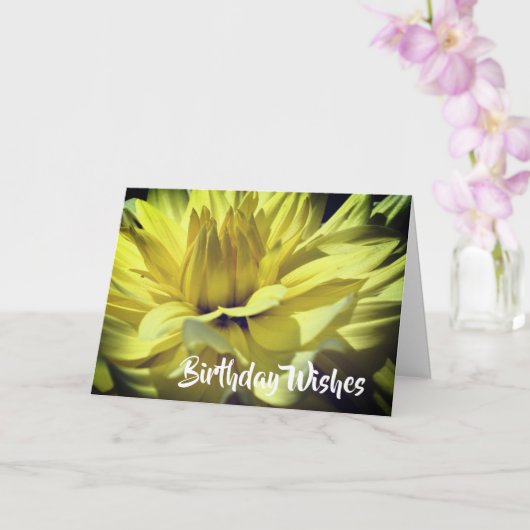 Yellow Dahlia Flower Petals Birthday Kaart (Orchidee)