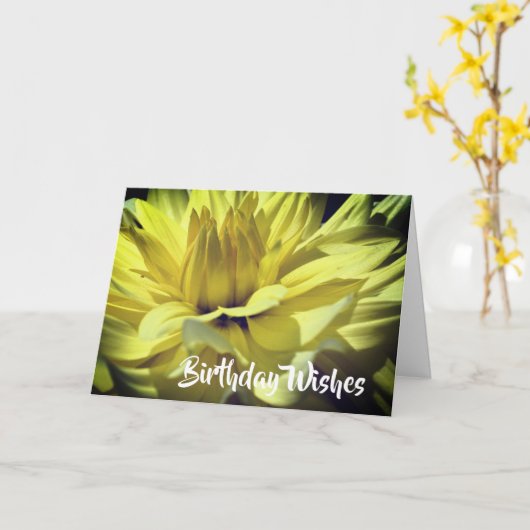 Yellow Dahlia Flower Petals Birthday Kaart (Gele Bloem)