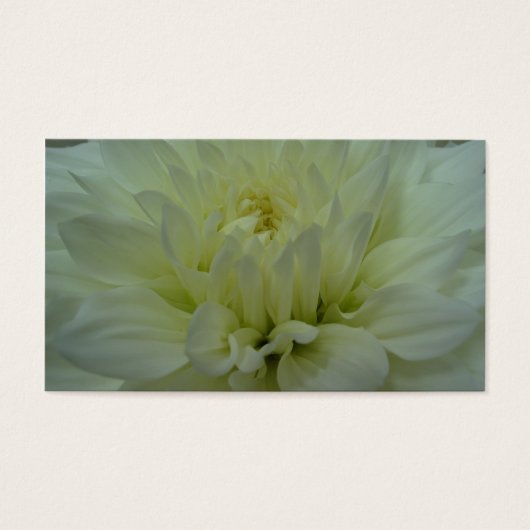 Yellow Dahlia Flower Visitekaartjes (Voorkant)