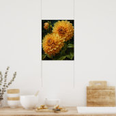 Yellow Dahlia Flowers Art Print Poster (Keuken)