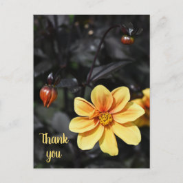 Yellow Dahlia Flowers op Wisley Gardens Dank je Briefkaart