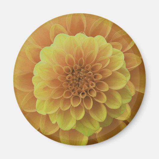 Yellow Dahlia Magneet (Voorkant)