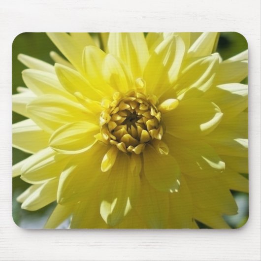 Yellow Dahlia Mousepad Muismat (Voorkant)