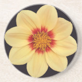 Yellow Dahlia op Black Floral Zandsteen Onderzetter (Voorkant)
