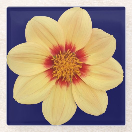 Yellow Dahlia op Blue Floral Glazen Onderzetter (Voorkant)
