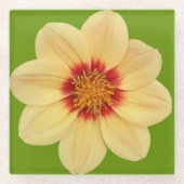 Yellow Dahlia over de Groene Floral Glazen Onderzetter (Voorkant)