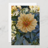 Yellow Dahlia Summer Flower Blank Wenskaart (Voorkant / Achterkant)