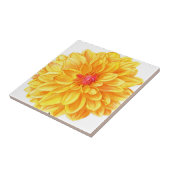 Yellow Dahlia waterverf Tegeltje (Zijkant)