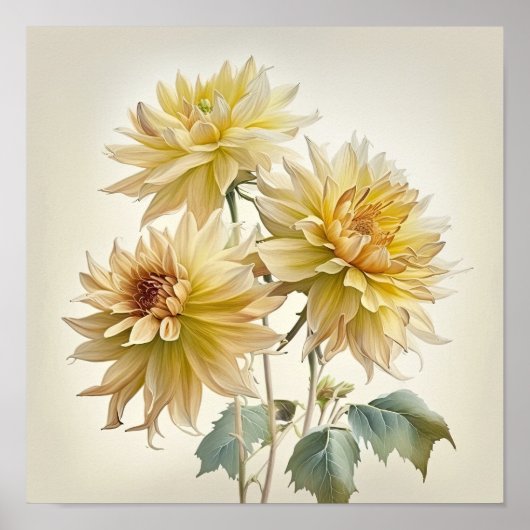 Yellow Dahlias Bloemenkunst Print Poster (Voorkant)