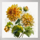 Yellow Dahlias Bloemenkunst Print Poster (Voorkant)