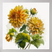 Yellow Dahlias Bloemenkunst Print Poster