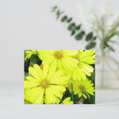 Yellow Daisies Briefkaart (Staand voorkant)
