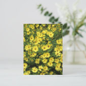 Yellow Daisies Briefkaart (Staand voorkant)