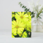 Yellow Daisies Briefkaart (Staand voorkant)