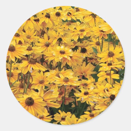 Yellow Daisies Envelope Seal Stickers (Voorkant)