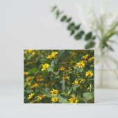 Yellow Daisies Foto Briefkaart (Staand voorkant)