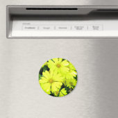 Yellow Daisies Magneet (Insitu (Vaatwasser))