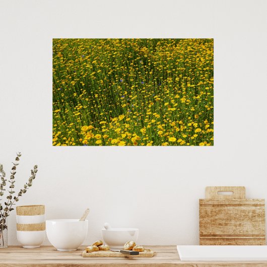 Yellow Daisies Poster (Keuken)