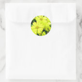 Yellow Daisies Ronde Sticker (Tas)