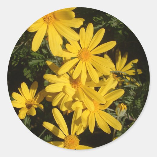 Yellow Daisies Ronde Sticker (Voorkant)