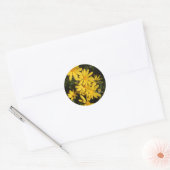 Yellow Daisies Ronde Sticker (Envelop)