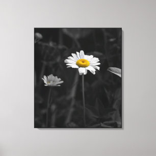 Yellow Daisy Black en White Flower foto Canvas Afdruk