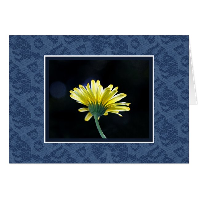 Yellow Daisy Blue Lace (Voorkant Horizontaal)