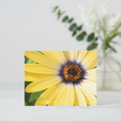 Yellow Daisy Briefkaart (Staand voorkant)