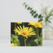 Yellow Daisy Briefkaart (Staand voorkant)