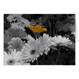 Yellow Daisy Card