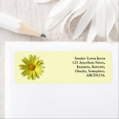 Yellow Daisy Etiket (Insitu)