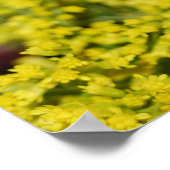 Yellow Daisy Floral Arrangement print (Hoek)