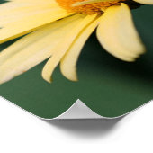 Yellow Daisy Flower Close Poster (Hoek)