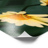 Yellow Daisy Flower Close Up Mirror Abstract 8x10 Foto Afdruk (Hoek)