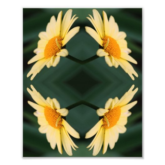 Yellow Daisy Flower Close Up Mirror Abstract 8x10 Foto Afdruk (Voorkant)