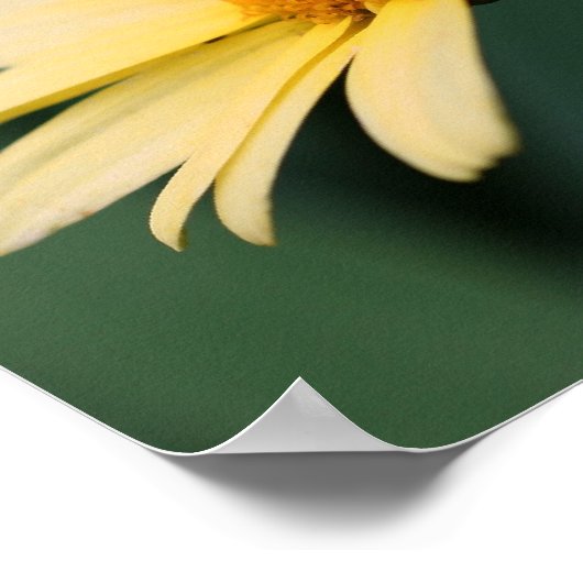 Yellow Daisy Flower Mirror Abstract Poster (Hoek)