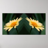 Yellow Daisy Flower Mirror Abstract Poster (Voorkant)