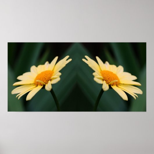 Yellow Daisy Flower Mirror Abstract Poster (Voorkant)