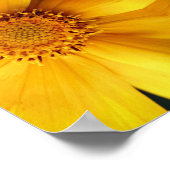 Yellow Daisy Flower Petals Abstract Poster (Hoek)
