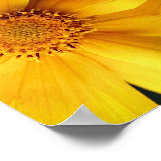 Yellow Daisy Flower Petals Abstract Poster (Hoek)