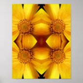 Yellow Daisy Flower Petals Abstract Poster (Voorkant)