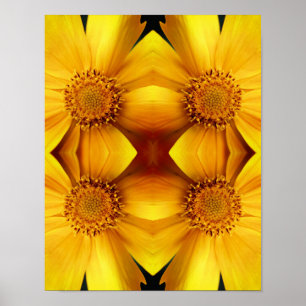 Yellow Daisy Flower Petals Abstract Poster