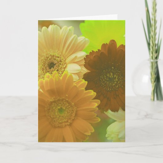 Yellow Daisy Flowers Photo Note of Wenskaarten Kaart (Voorkant)