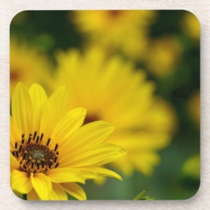 Yellow Daisy Helenium Bier Onderzetter